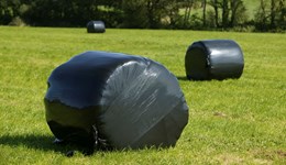 Taking stock - forecasting feed budgets and milk volumes